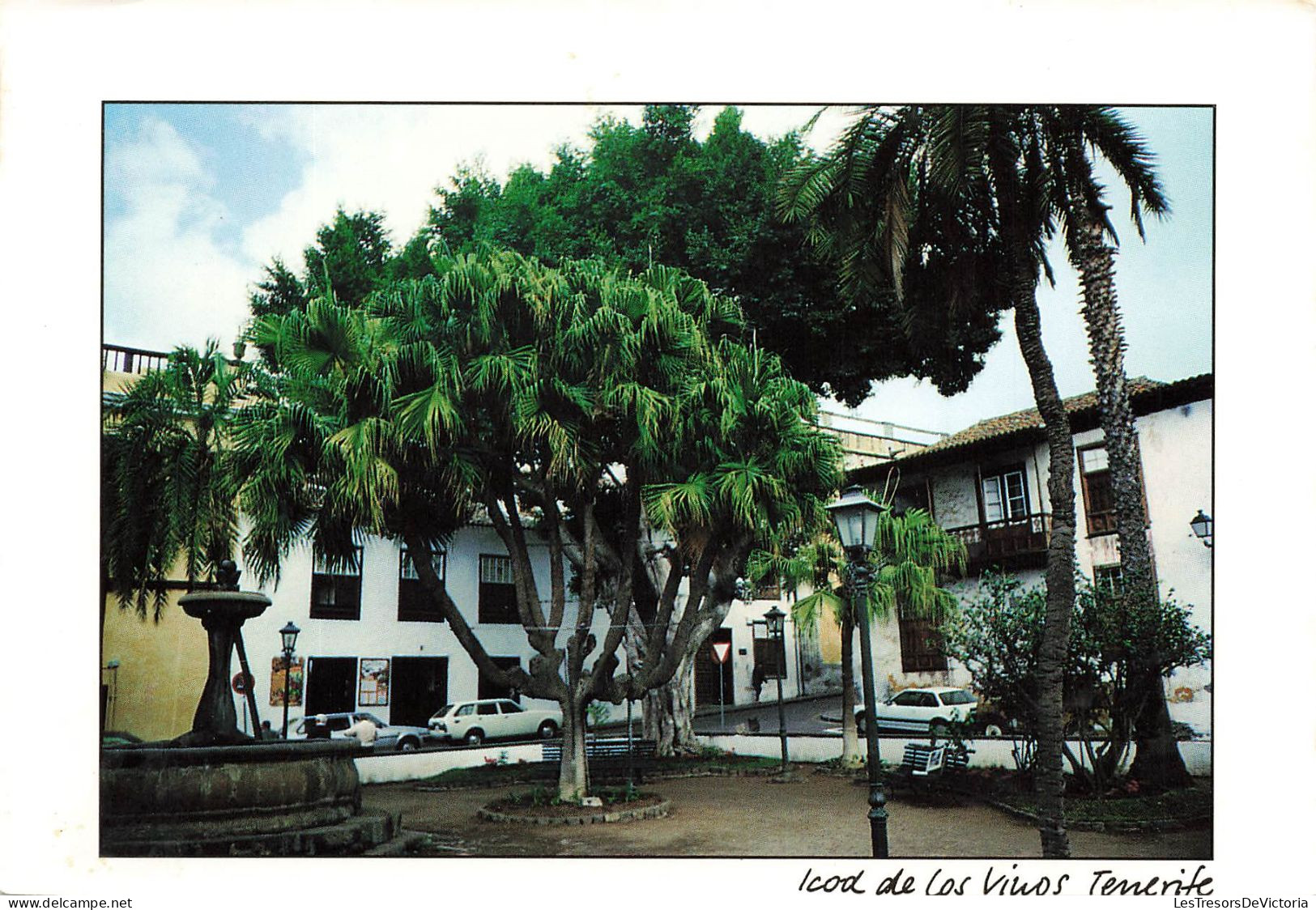 ESPAGNE - Tenerife - Vinos - Carte Postale - Tenerife