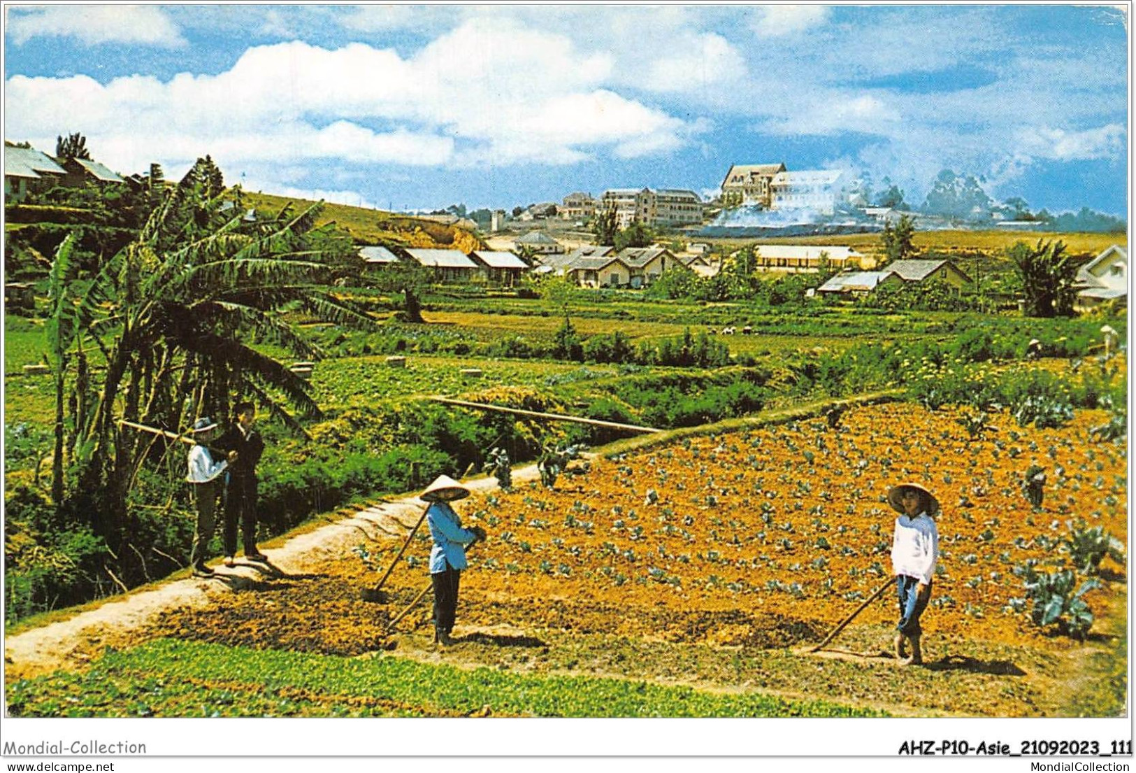 AHZP10-ASIE-0926 - CHINE HONG KONG GARDEN SCENE AT DA LAT IN THE HIGH COUNTRY - China (Hong Kong)