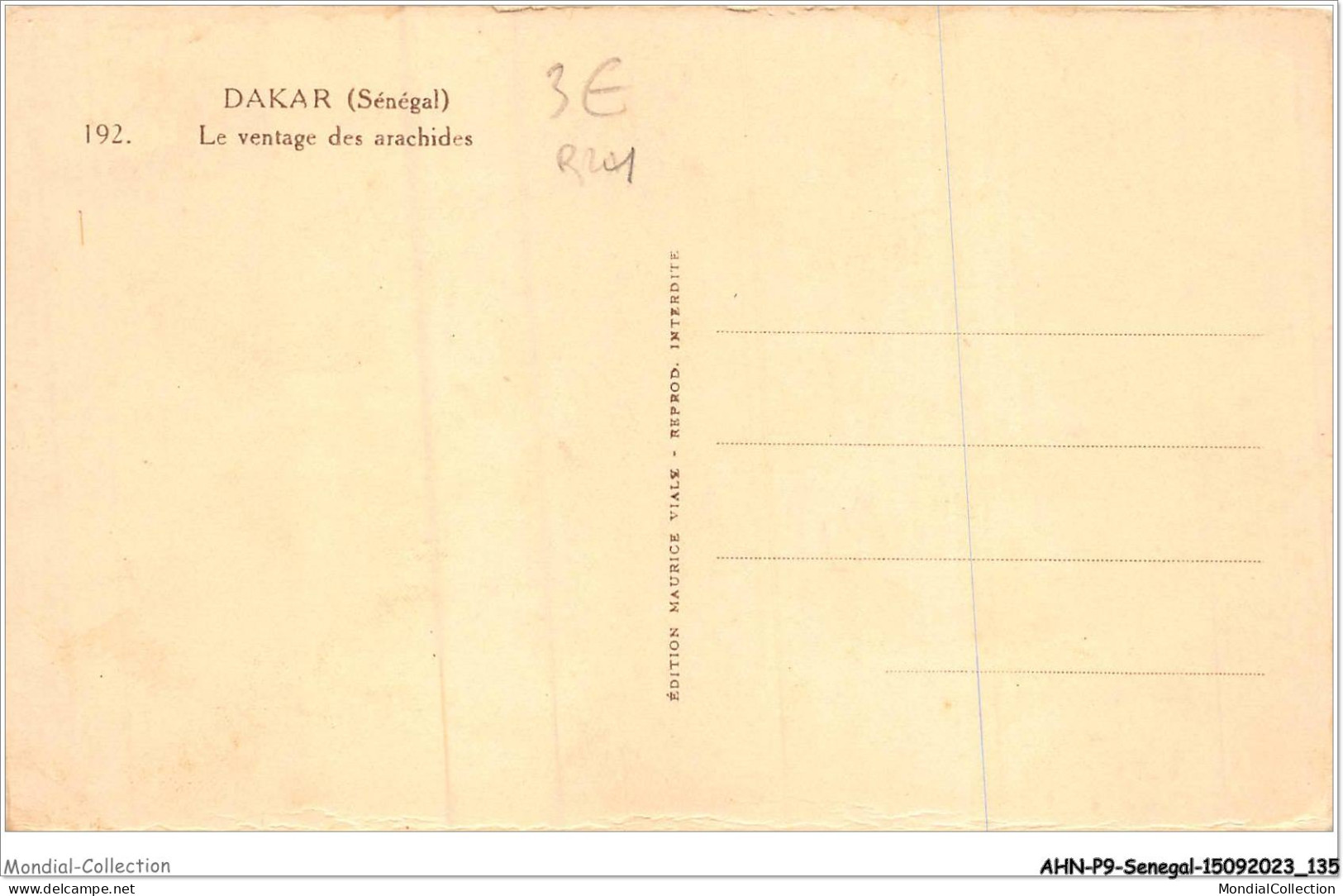 AHNP9-1033 - AFRIQUE - SENEGAL - DAKAR - Le Ventage Des Arachides - Senegal