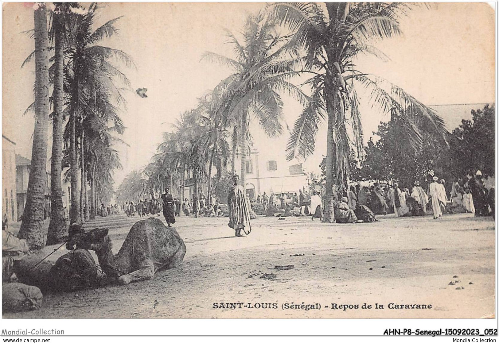 AHNP8-0884 - AFRIQUE - SENEGAL - SAINT-LOUIS - Repos De La Caravane  - Sénégal