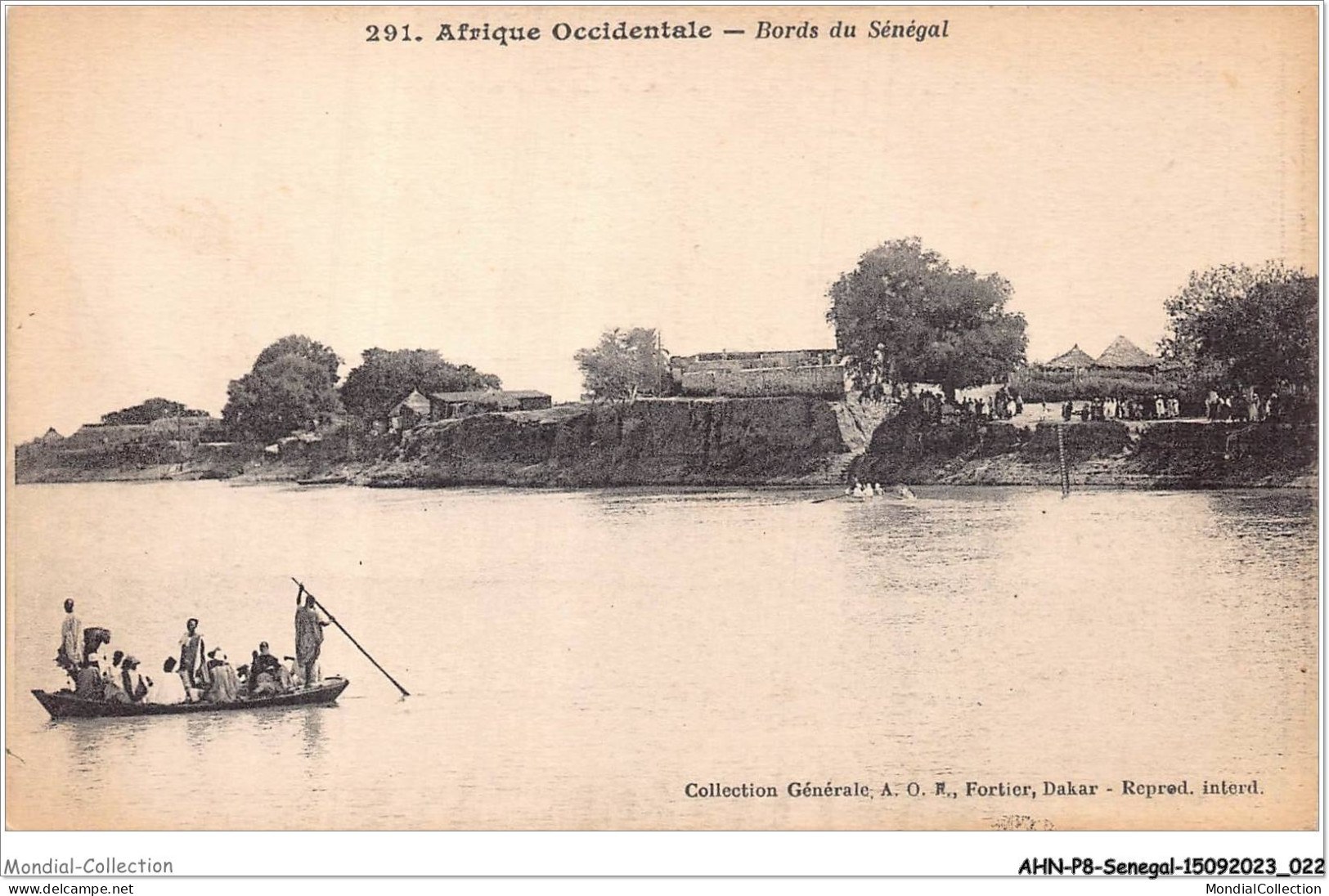 AHNP8-0869 - AFRIQUE - SENEGAL - Bords Du Sénégal - Sénégal