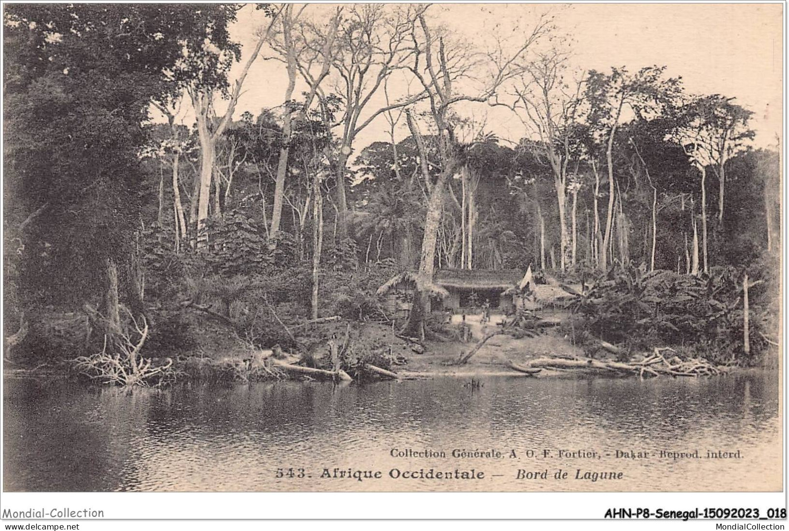 AHNP8-0867 - AFRIQUE - SENEGAL - Bord De Lagune  - Sénégal