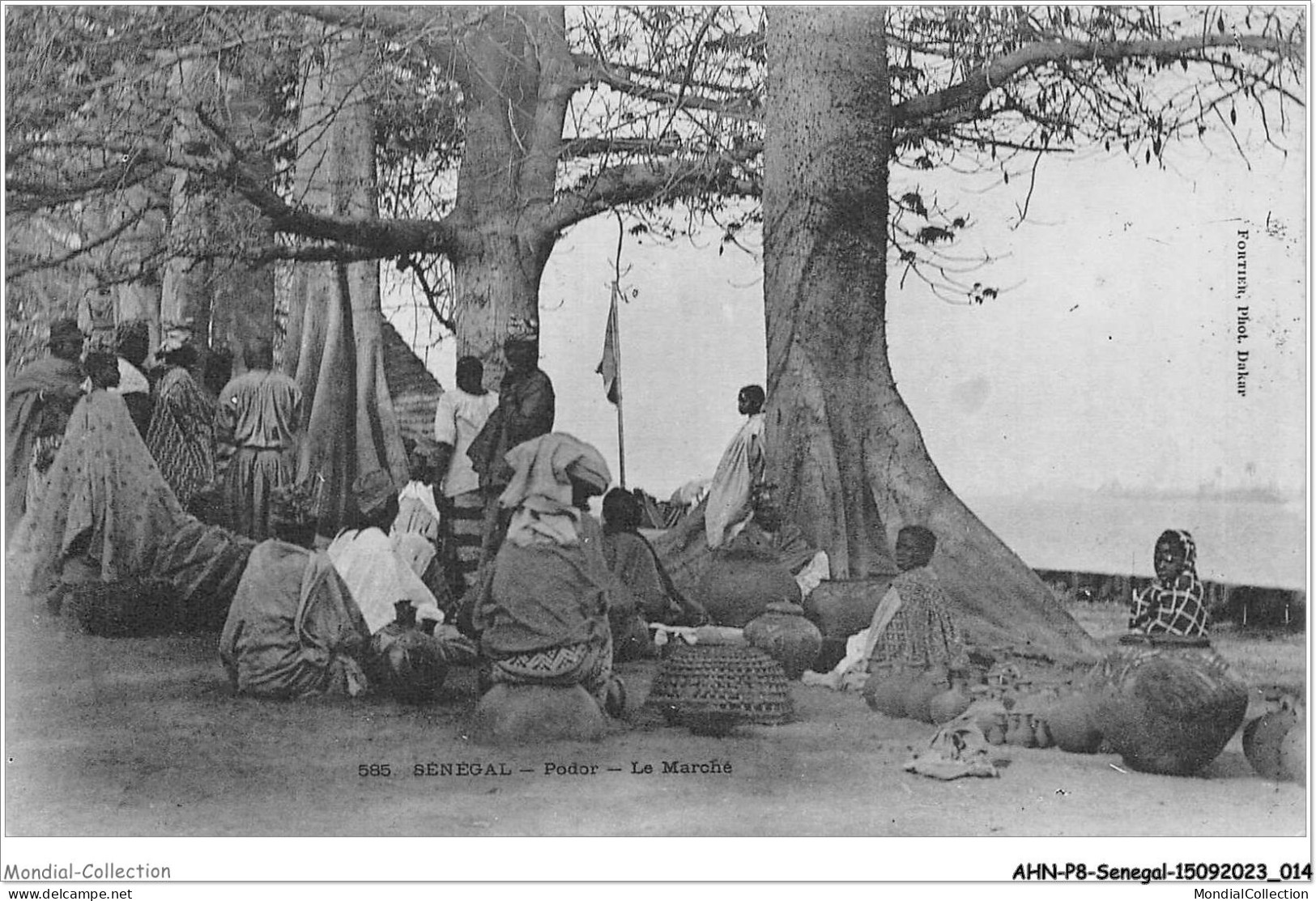 AHNP8-0865 - AFRIQUE - SENEGAL - Podor - Le Marché - Sénégal