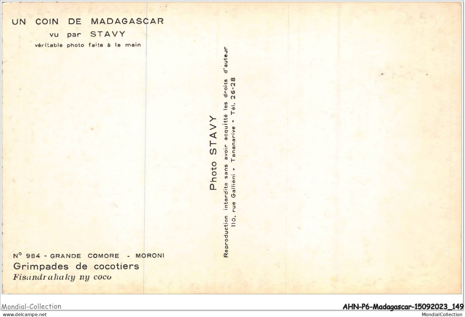 AHNP6-0700 - AFRIQUE - MADAGASCAR - Un Coin De Madagascar - Grande Comore - Moroni - Grimpades De Cocotiers - Madagaskar