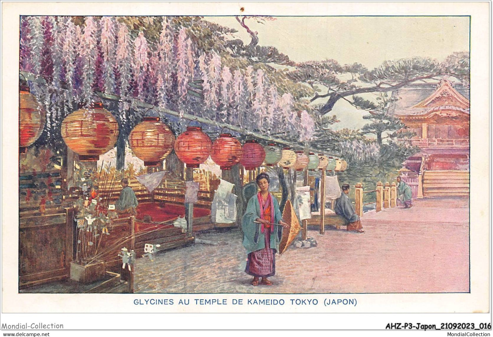 AHZP3-JAPON-0208 - GLYCINES AU TEMPLE DE KAMEIDO - TOKYO - Tokyo