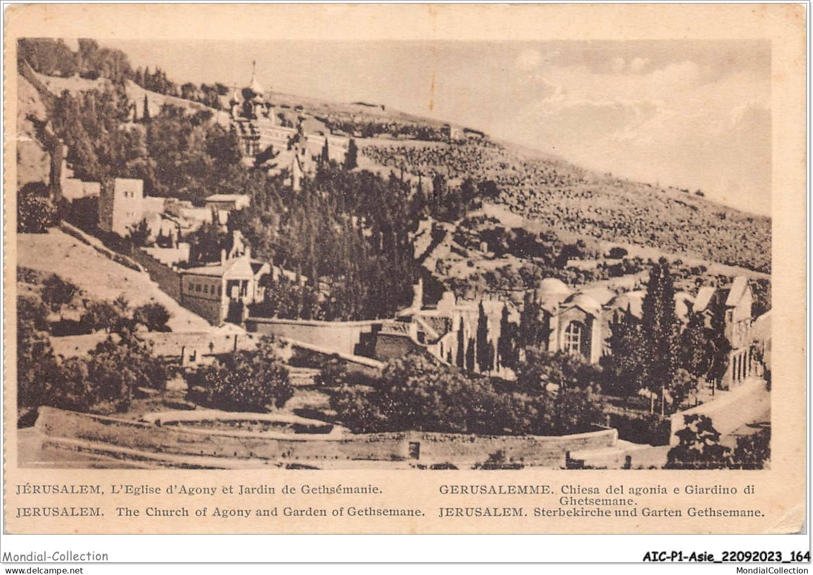 AICP1-ASIE-0083 - JERUSALEM - L'église D'agony Et Jardin De Getshémanie - Palestine