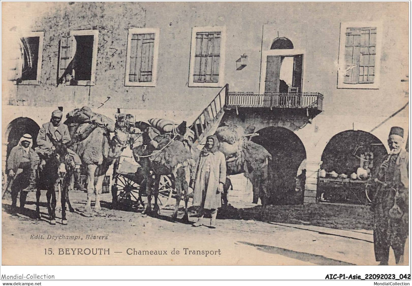 AICP1-ASIE-0022 - BEYROUTH - Chameaux De Transport - Syrien