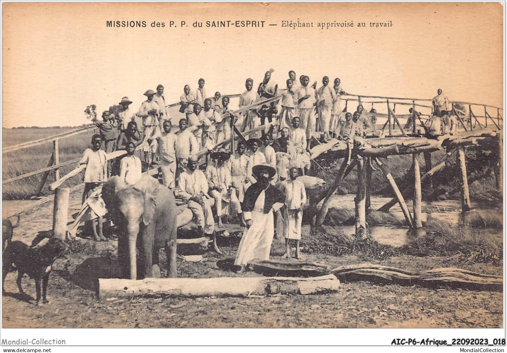 AICP6-AFRIQUE-0627 - MISSIONS DE P P DU SAINT-ESPRIT - éléphant Apprivoisé Au Travail - Zonder Classificatie
