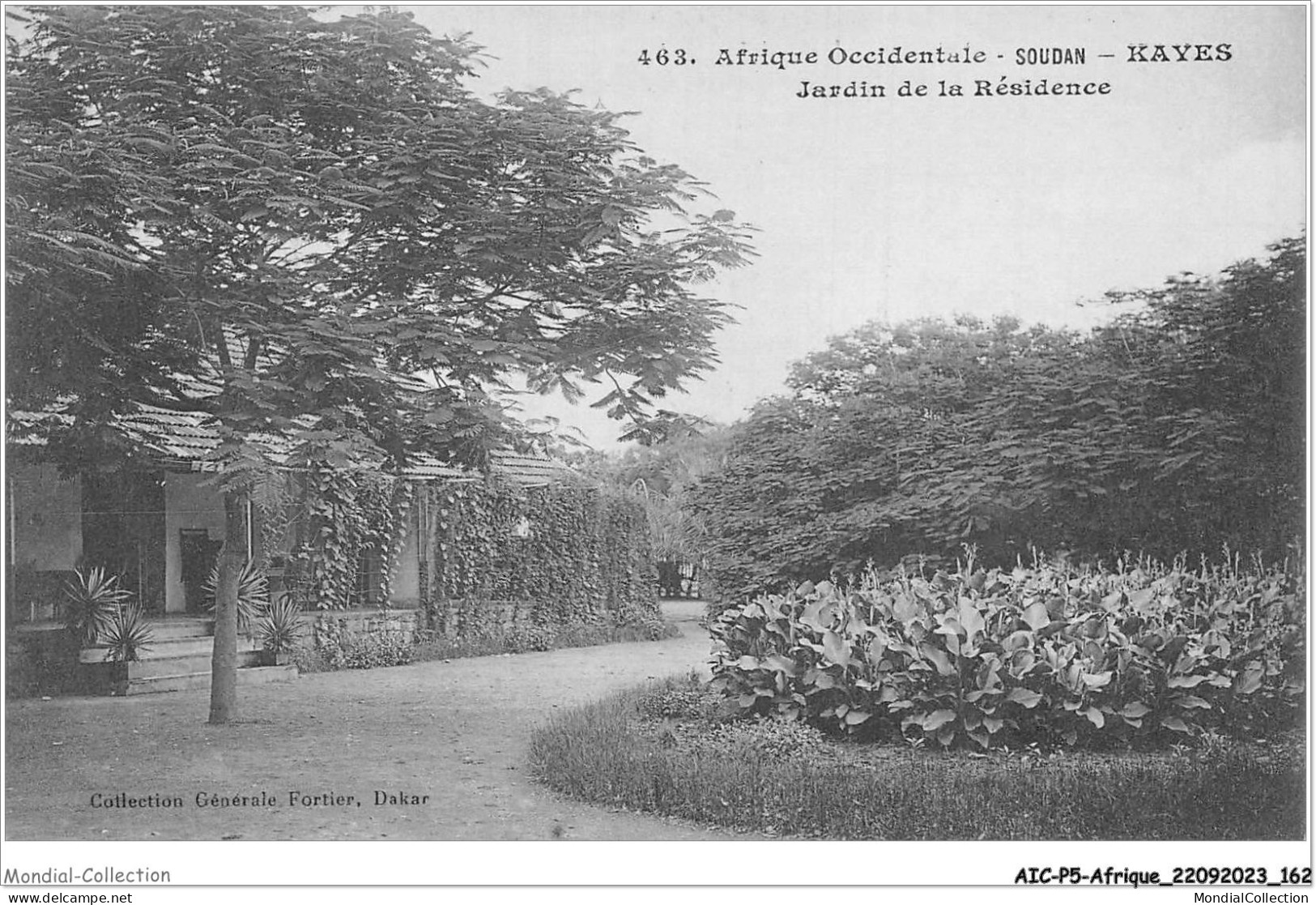 AICP5-AFRIQUE-0588 - AFRIQUE OCCIDENTALE - SOUDAN - KAYES - Jardin De La Résidence - Soudan