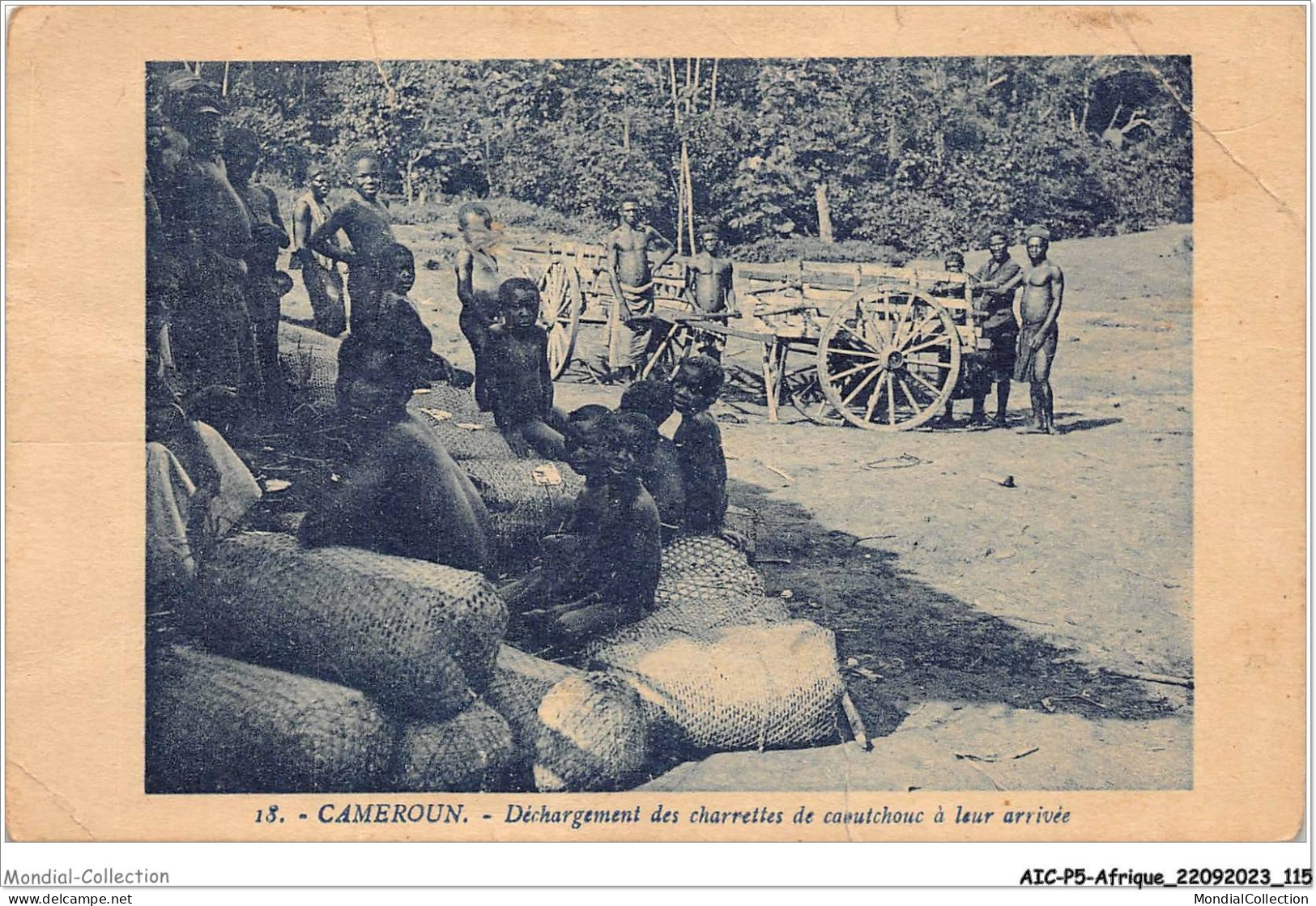 AICP5-AFRIQUE-0565 - CAMEROUN - Déchargement Des Charrettes De Cautchouc à Leur Arrivée - Cameroun
