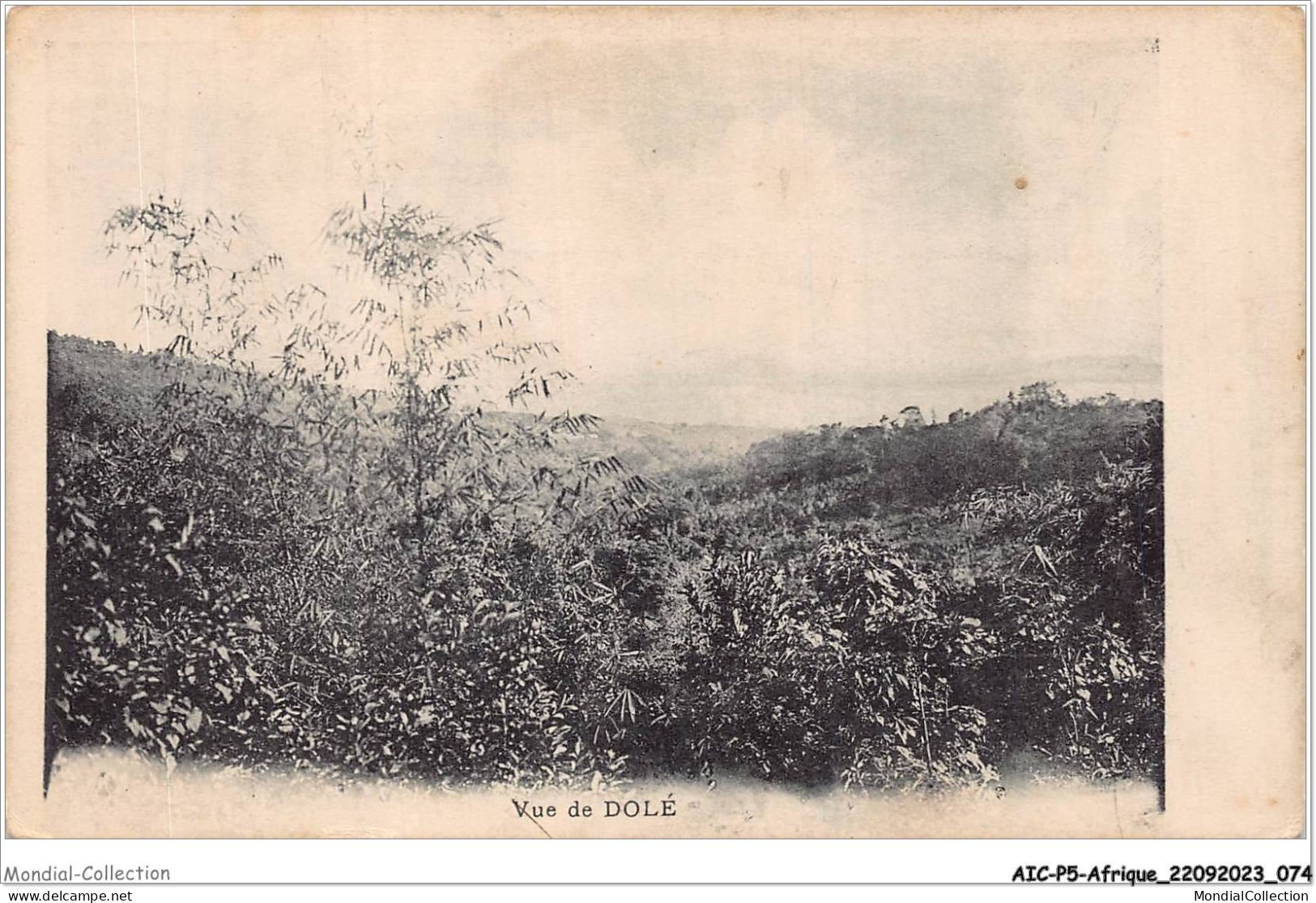 AICP5-AFRIQUE-0546 - Vue De DOLE - Cameroun