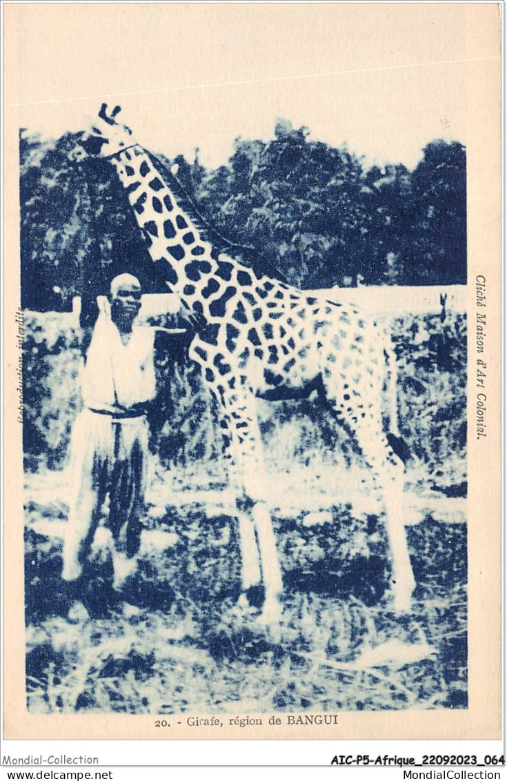 AICP5-AFRIQUE-0541 - Girafe - Région De BANGUI - Repubblica Centroafricana