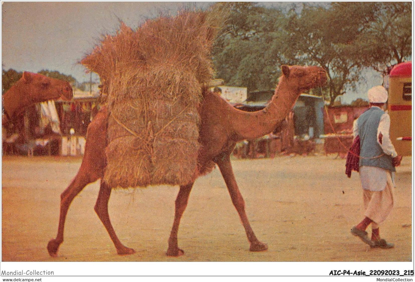 AICP4-ASIE-0506 - Typical Scene KARACHI SUBURB W PAKISTAN - Pakistan
