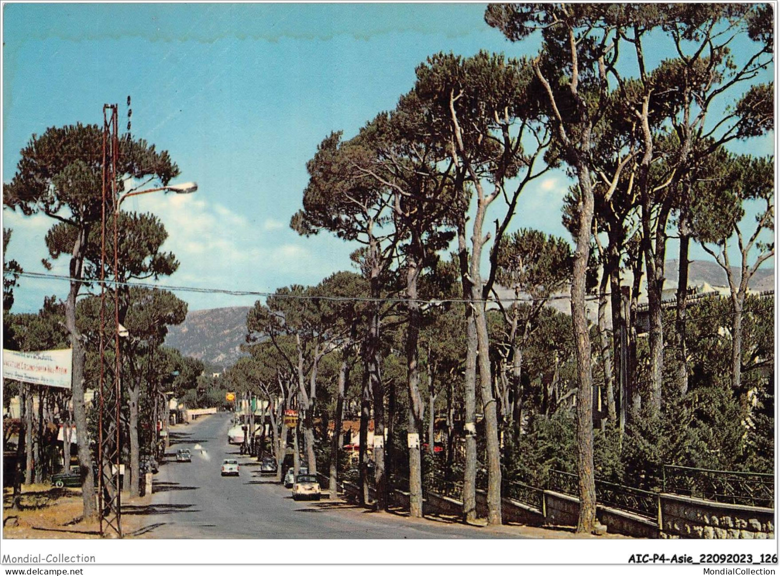 AICP4-ASIE-0462 - LEBANON - Bois De Boulogne - Lebanon