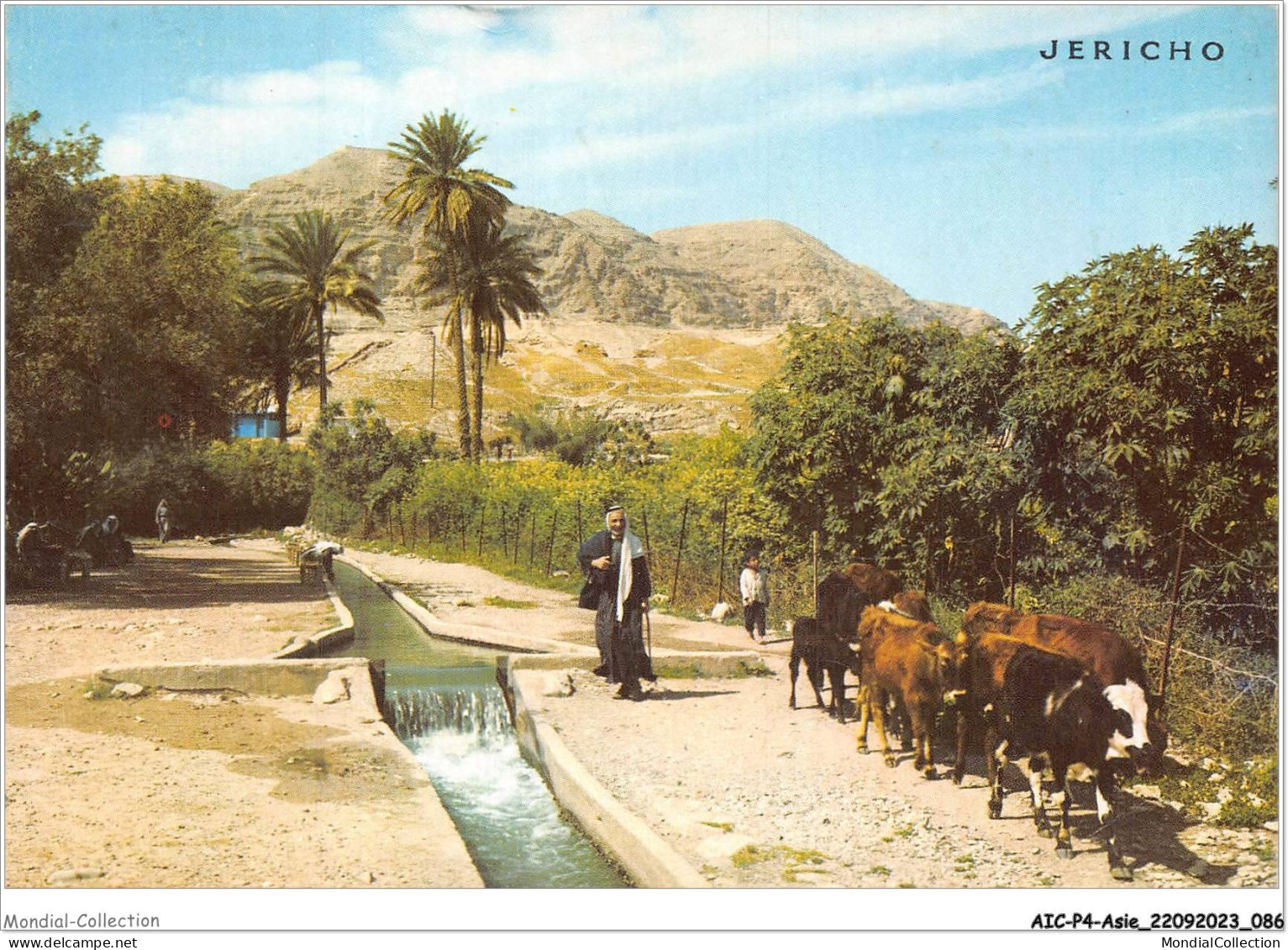 AICP4-ASIE-0442 - JERICHO - Canal D'irrigation En Provenance De La Source D'elisha - Palestine