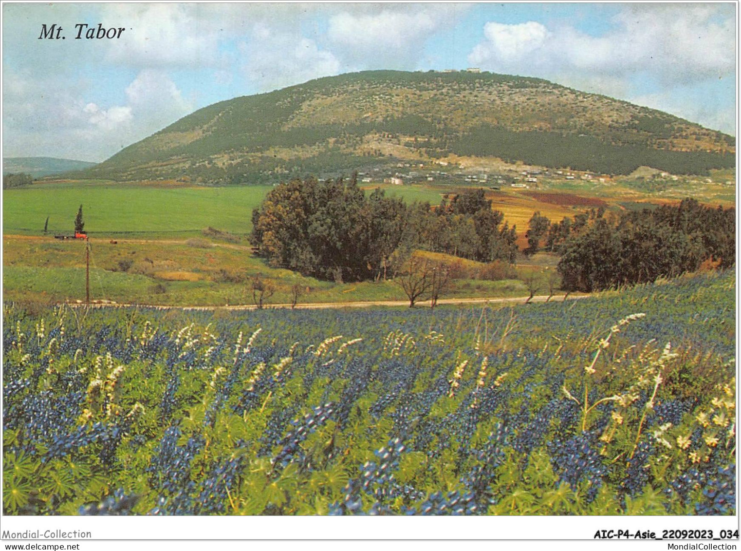 AICP4-ASIE-0416 - MOUNT TABOR - Israel