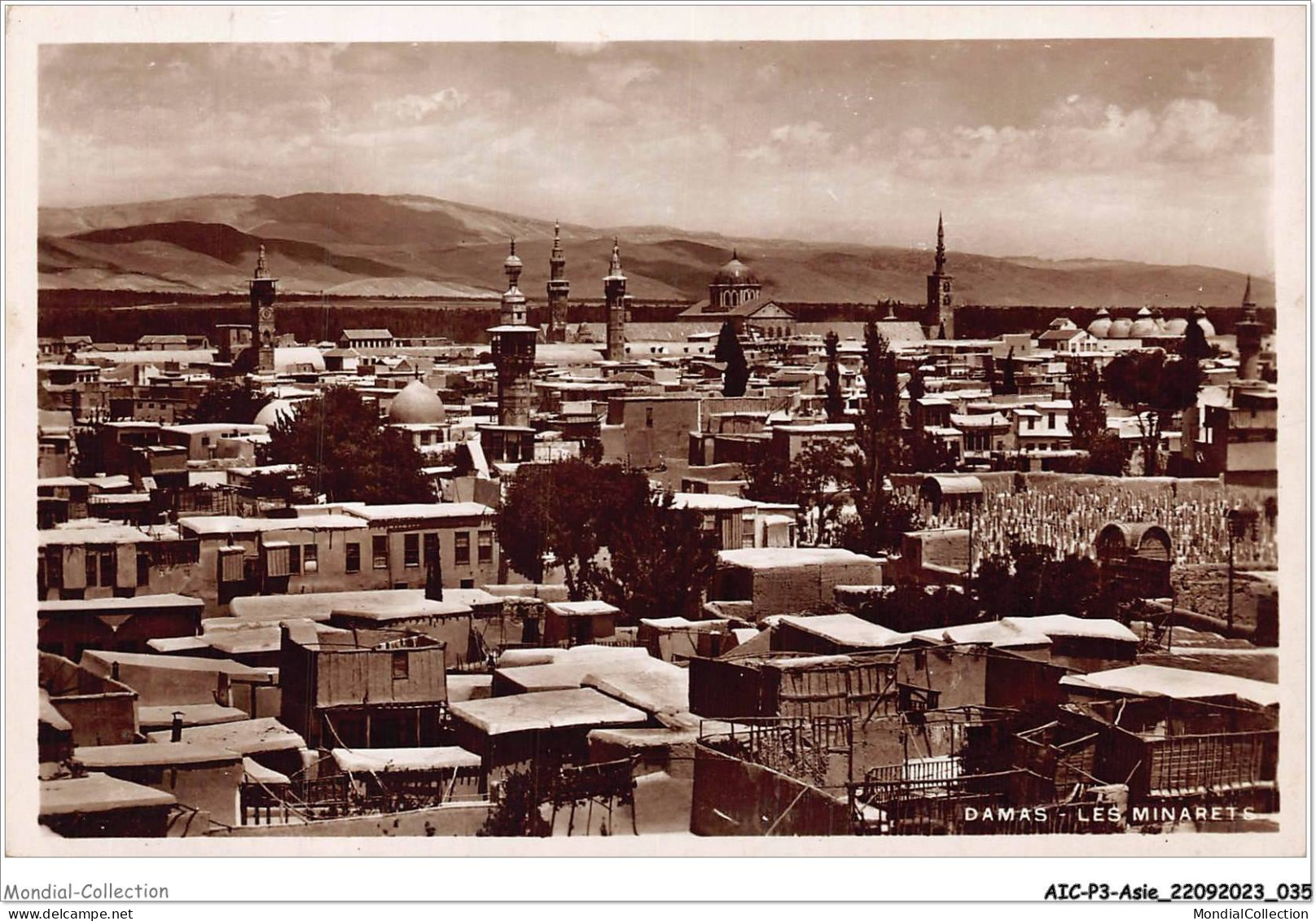 AICP3-ASIE-0272 - DAMAS - Les Minarets - Syrie