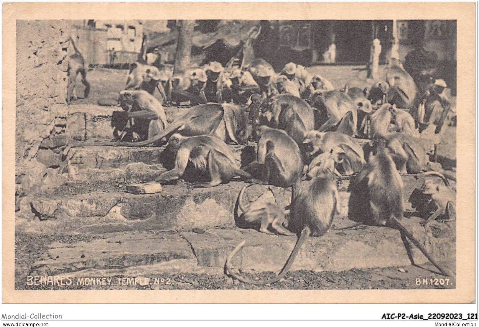 AICP2-ASIE-0183 - BENARES - Monkey Temple - India