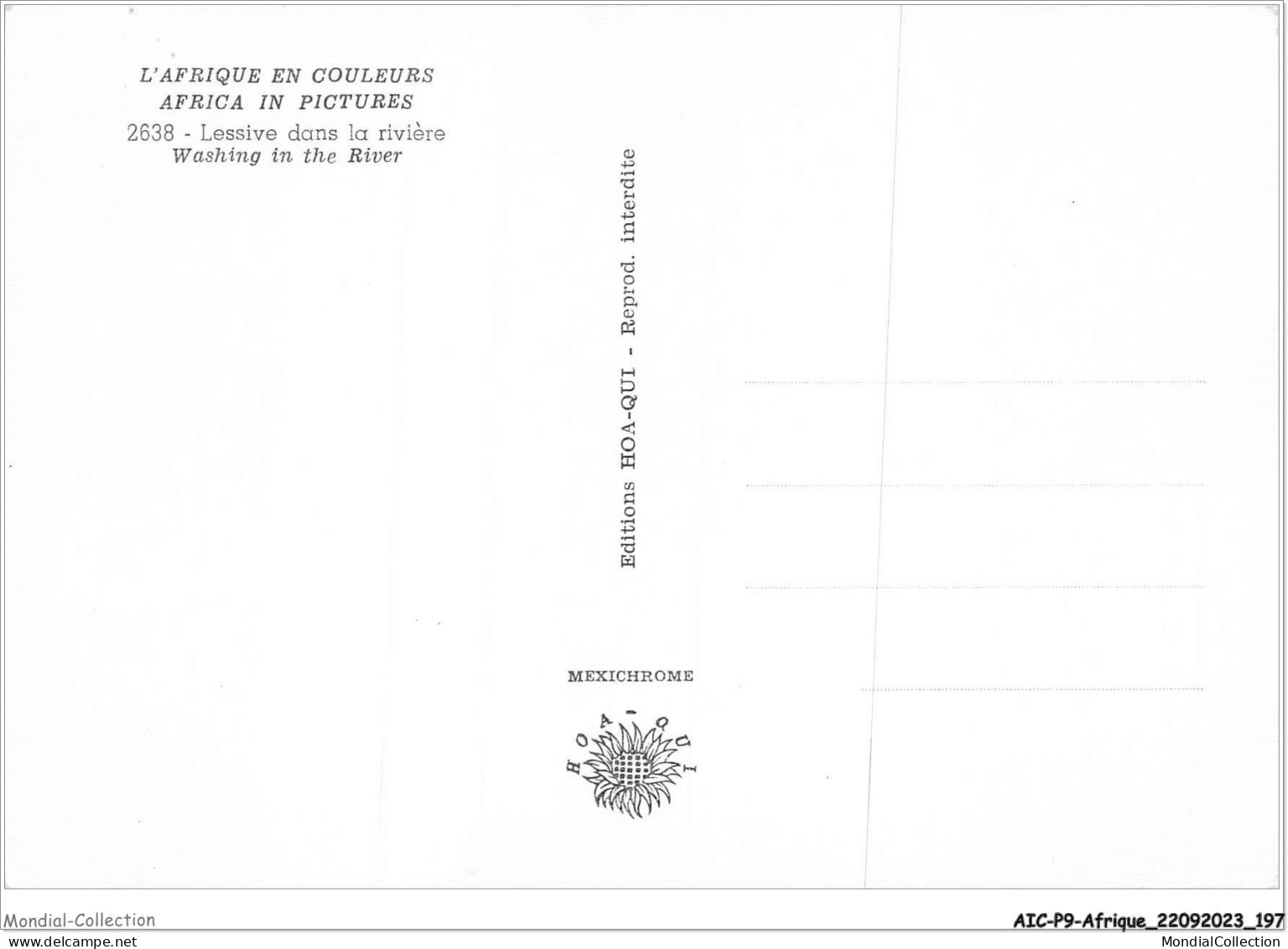 AICP9-AFRIQUE-1061 - L'AFRIQUE EN COULEURS - Lessive Dans La Rivière - Unclassified