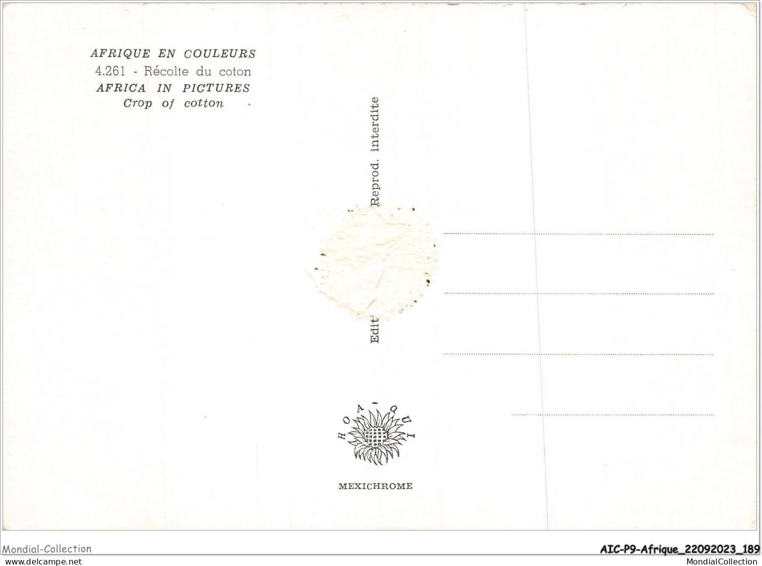 AICP9-AFRIQUE-1057 - AFRIQUE EN COULEURS - Récolte Du Coton - Zonder Classificatie