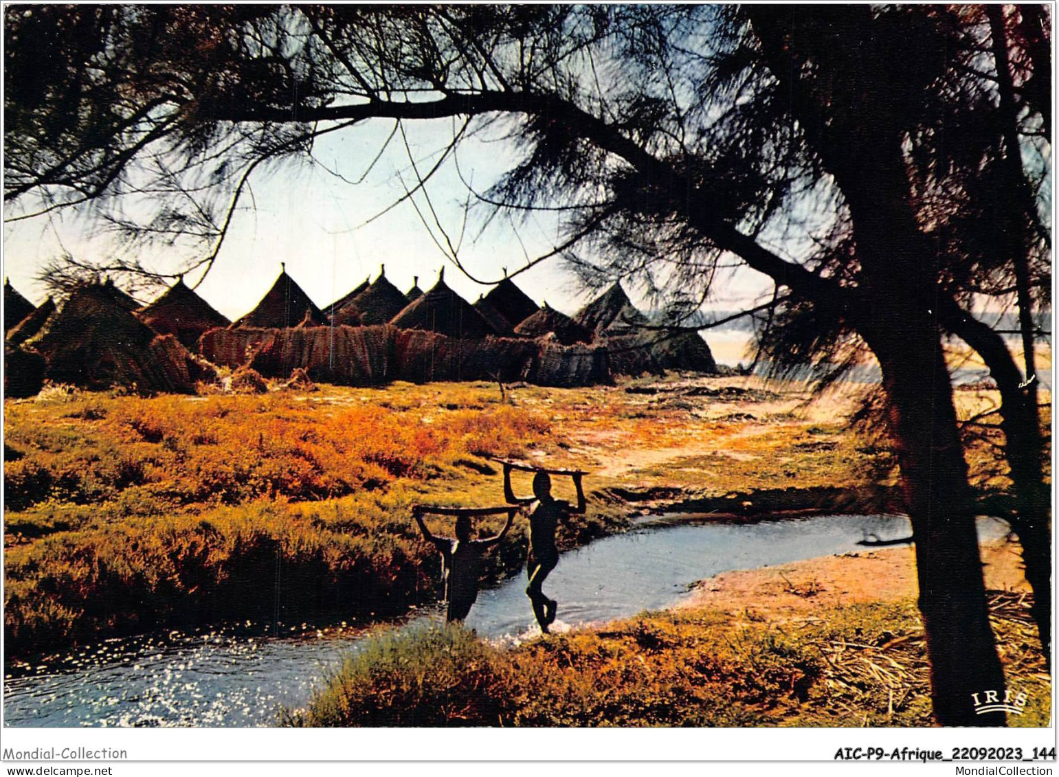 AICP9-AFRIQUE-1036 - L'AFRIQUE EN COULEURS - Village Africain - Zonder Classificatie