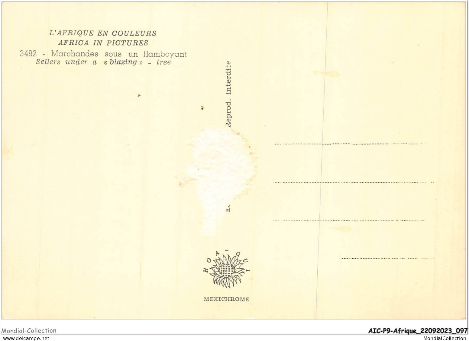 AICP9-AFRIQUE-1012 - L'AFRIQUE EN COULEURS - Marchandes Sous Un Flamboyant - Non Classés