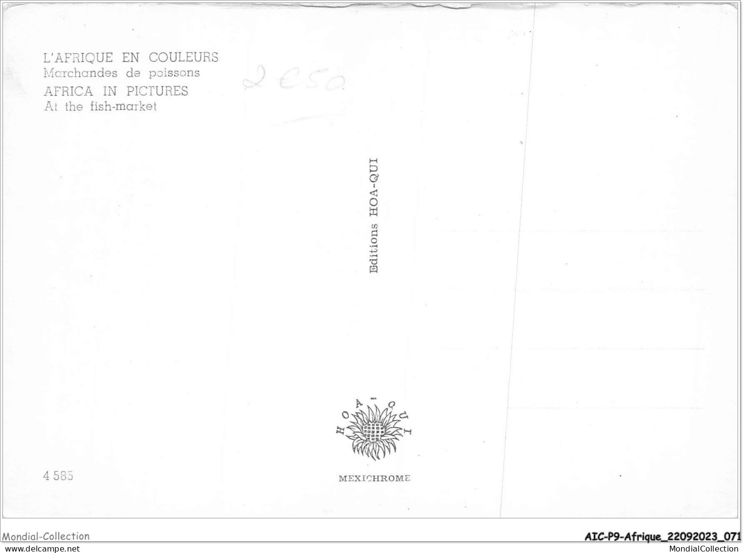 AICP9-AFRIQUE-0999 - L'AFRIQUE EN COULEURS - Marchandes De Poissons - Zonder Classificatie
