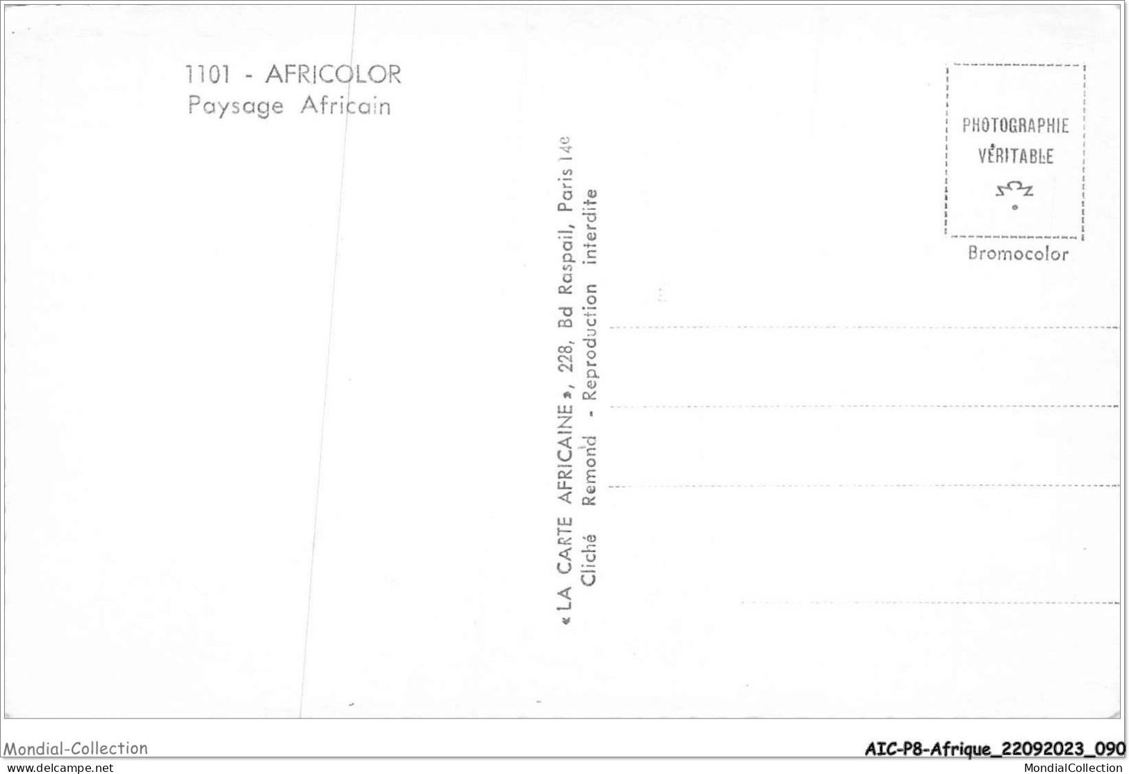 AICP8-AFRIQUE-0899 - AFRICOLOR - Paysage Africain - Unclassified