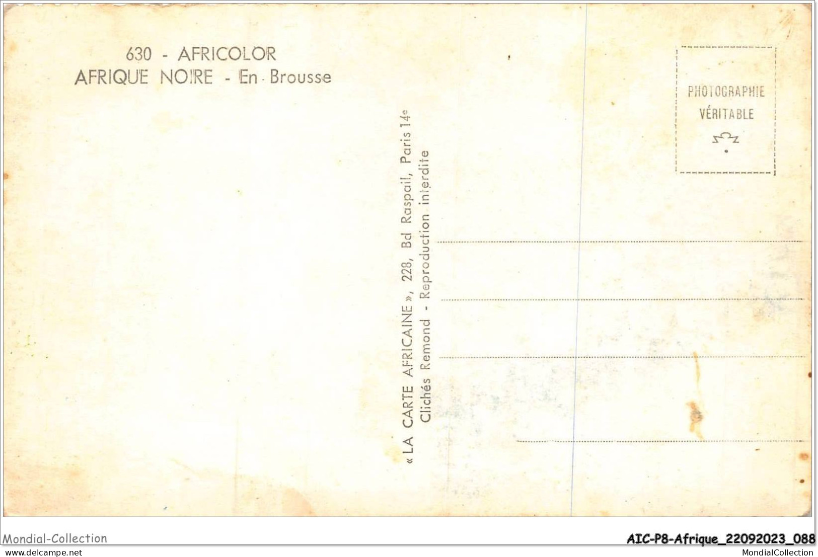 AICP8-AFRIQUE-0898 - AFRICOLOR - AFRIQUE NOIRE - En Brousse - Unclassified