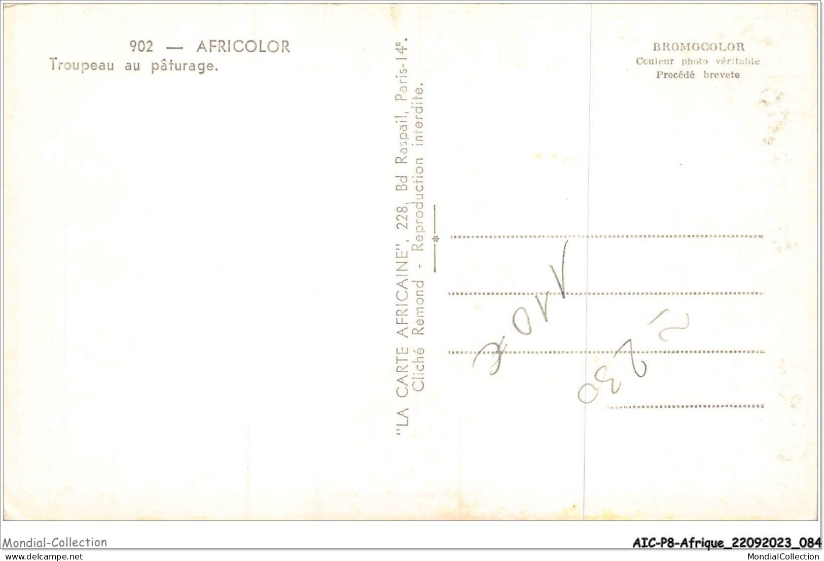 AICP8-AFRIQUE-0896 - AFRICOLOR - Troupeau Au Pâturage - Non Classés