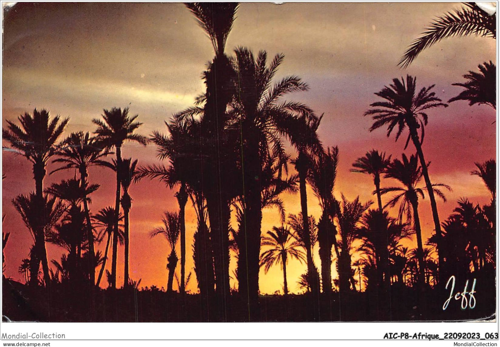 AICP8-AFRIQUE-0886 - LE PITTORESQUE AFRIQUE DU NORD - Coucher De Soleil Sur La Palmeraie - Unclassified