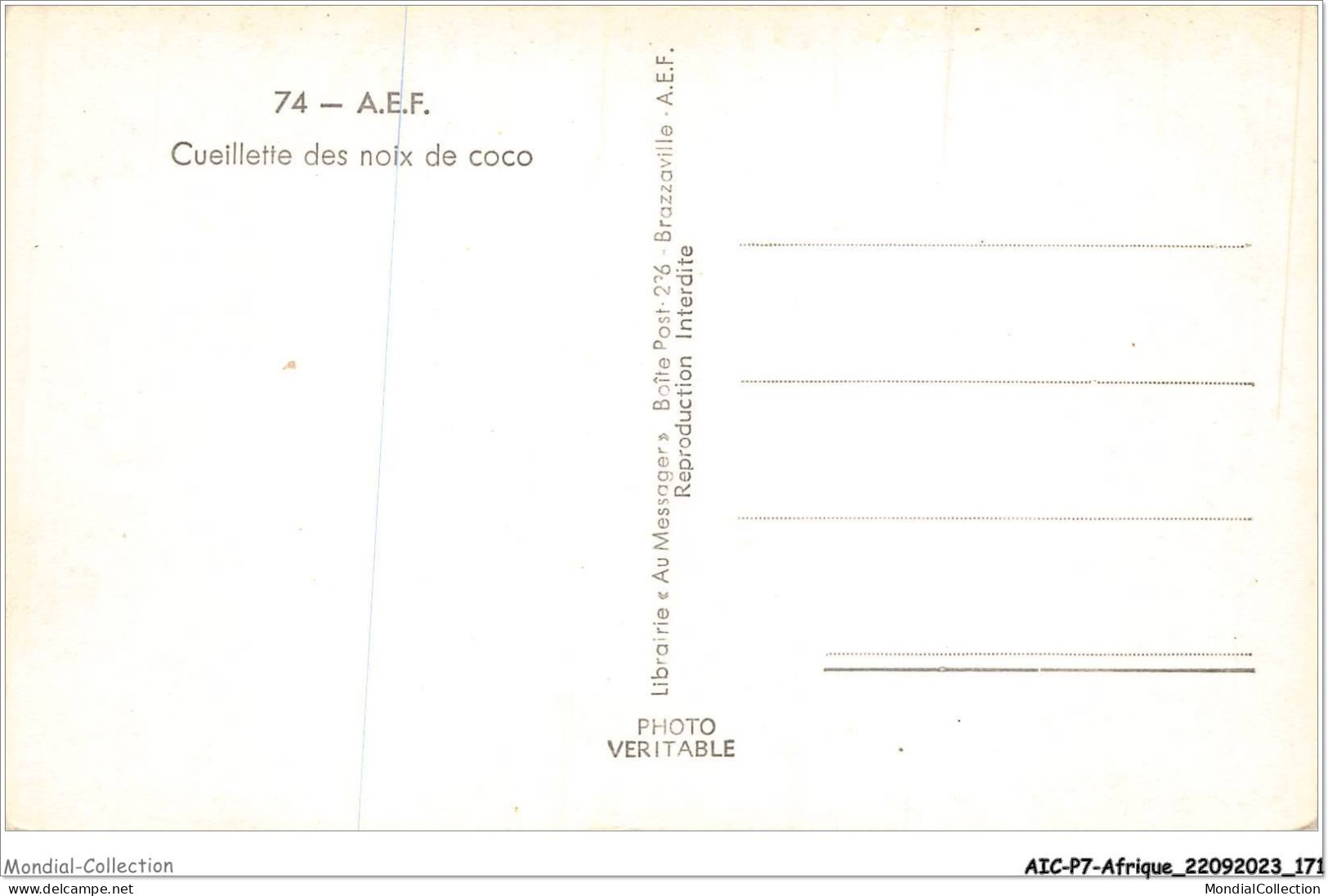 AICP7-AFRIQUE-0823 - A E F - Cueillette Des Noix De Coco - Zonder Classificatie