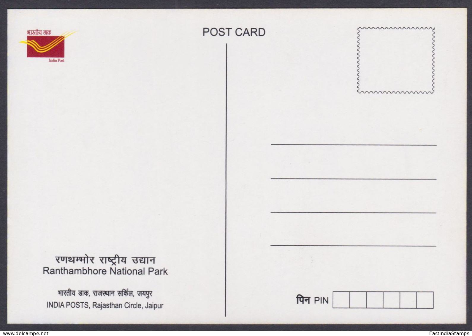 Inde India 2012 Mint Unused Postcard Ranthambhore National Park, Tiger, Tigers, Wildlife, Wild Life, Animal, Animals - Inde