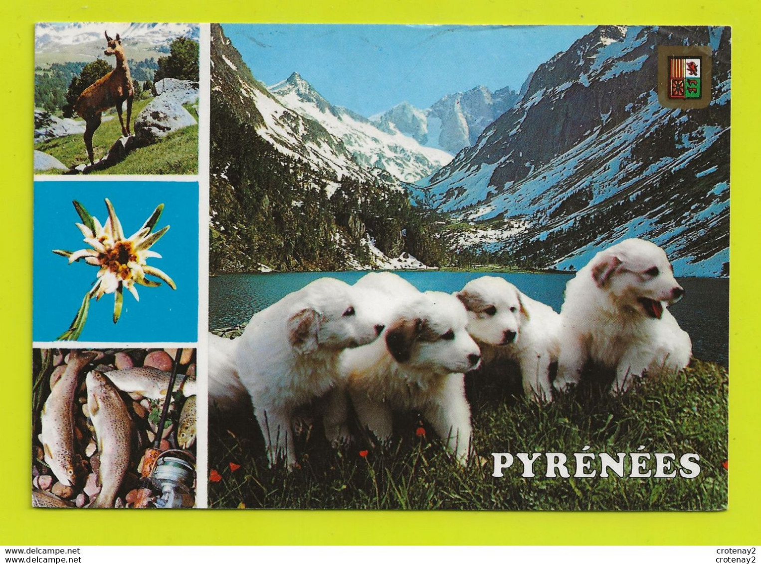 65 Chiots Pyrénées Elevage Chiens Domaine Des Coustères Vers Lourdes Postée De 32 Masseube En 1987 Belles Truites - Dogs
