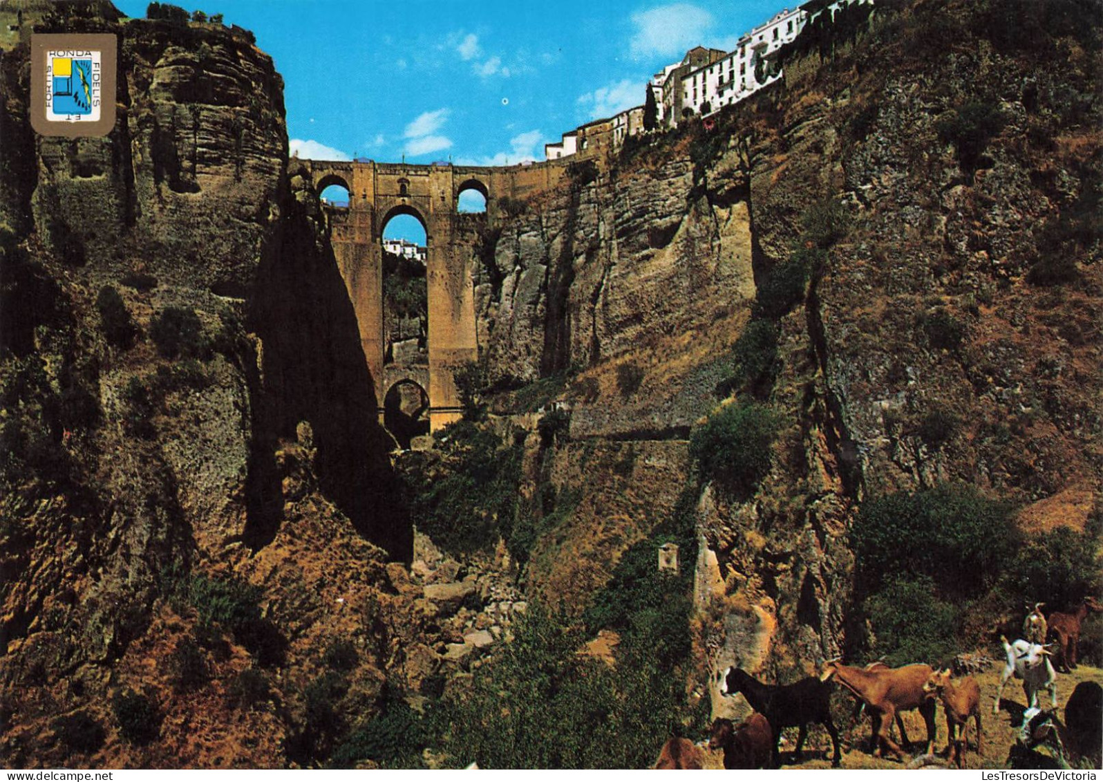 ESPAGNE - Ronda - Pont Neuf Sur Le Fleuve Tajo - Carte Postale - Málaga