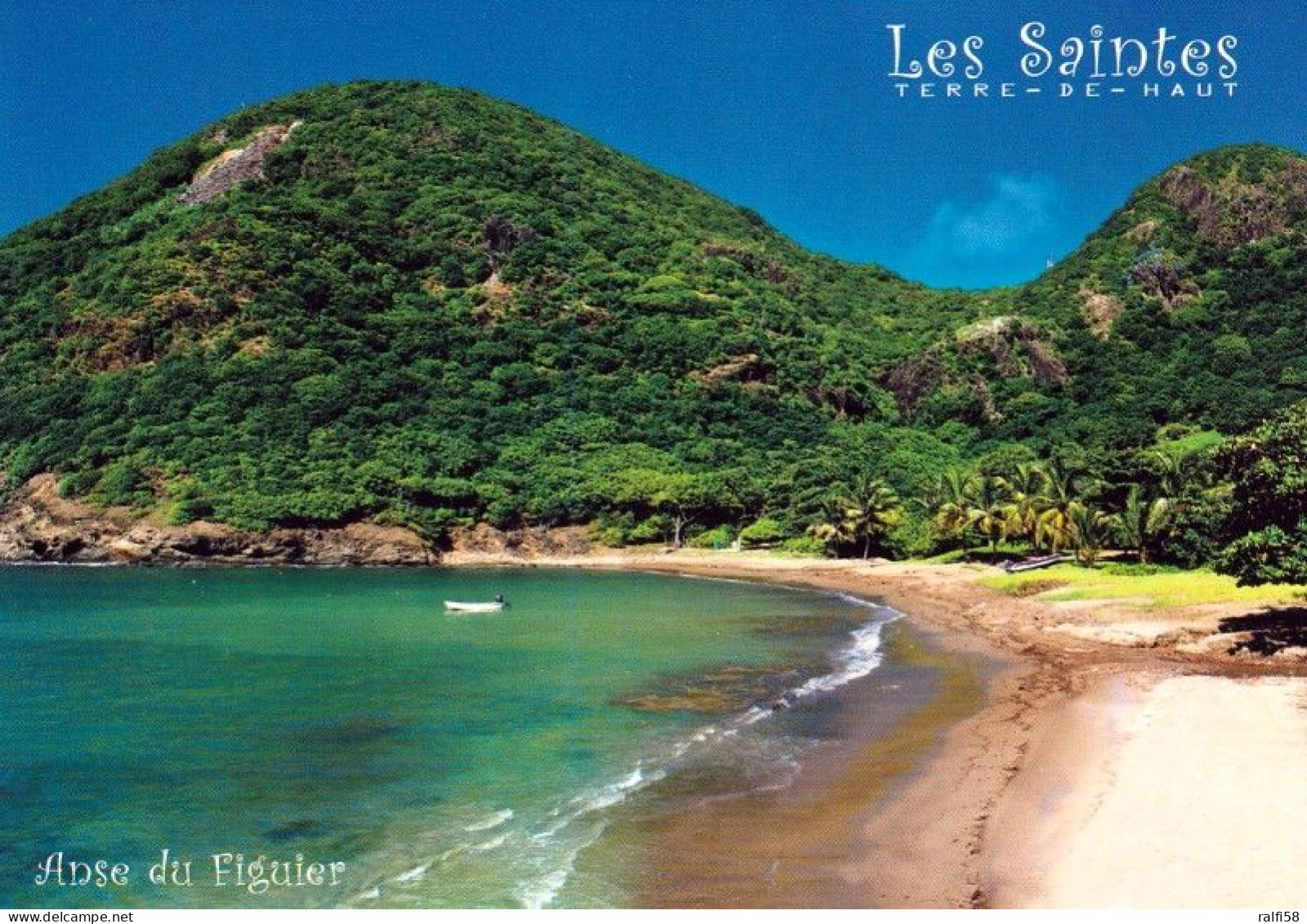 1 AK Guadeloupe  Anse Du Figuier (goldener Sandstrand) Auf Terre-de-Haut, Die Insel Gehört Zu D. Inseln Îles Des Saintes - Sonstige & Ohne Zuordnung