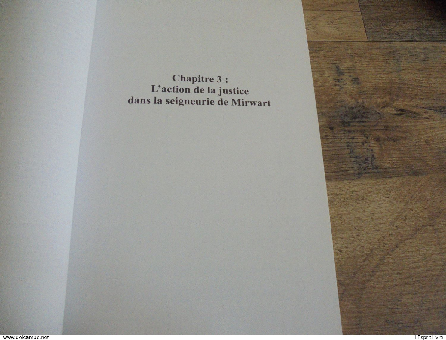 LA JUSTICE PENALE EN TERRES DE MIRWART 1593 1629 Régionalisme Château Arenberg Seigneurs Seigneurie Procès Sacrilèges