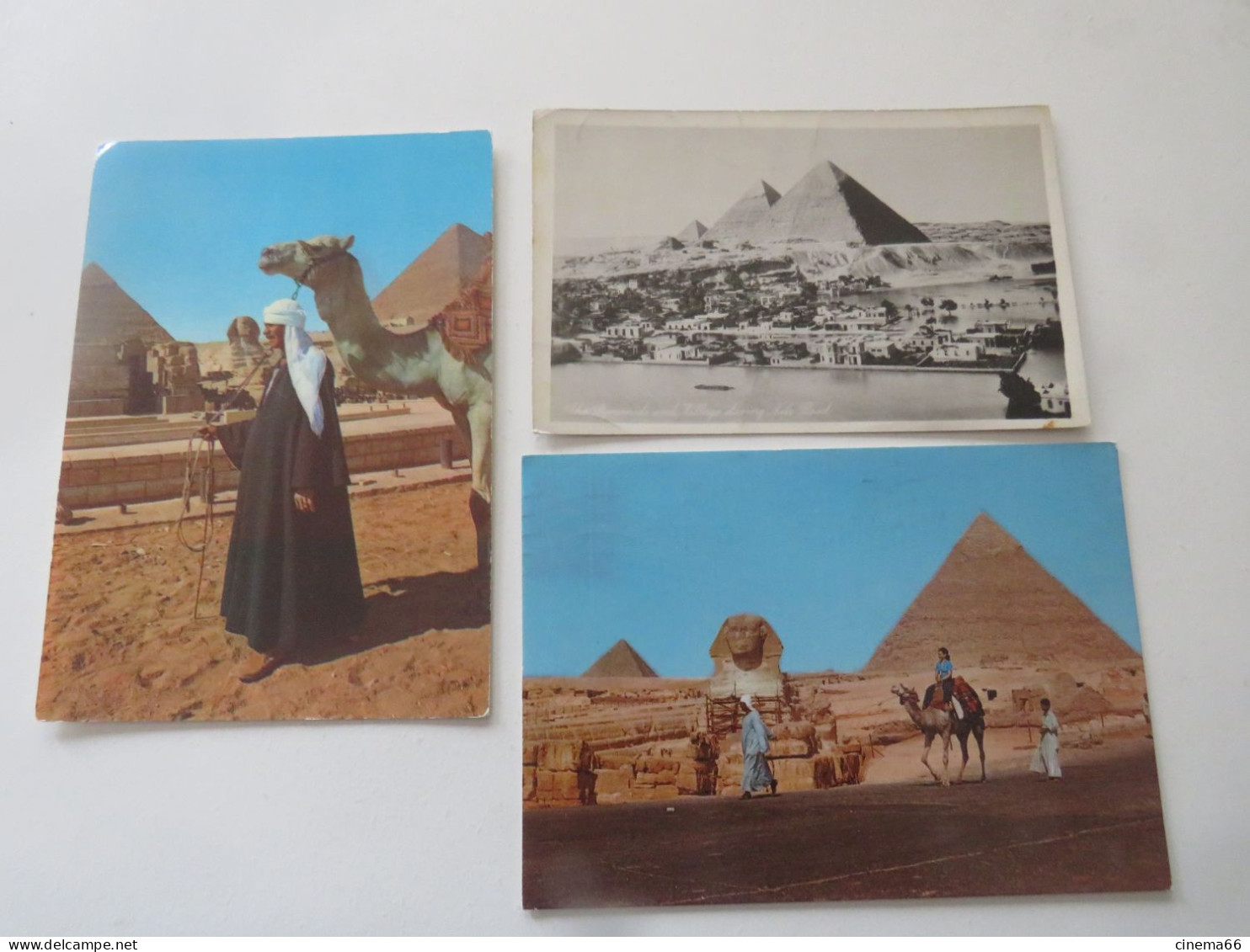 EGYPYTE  - lot de 21 cartes