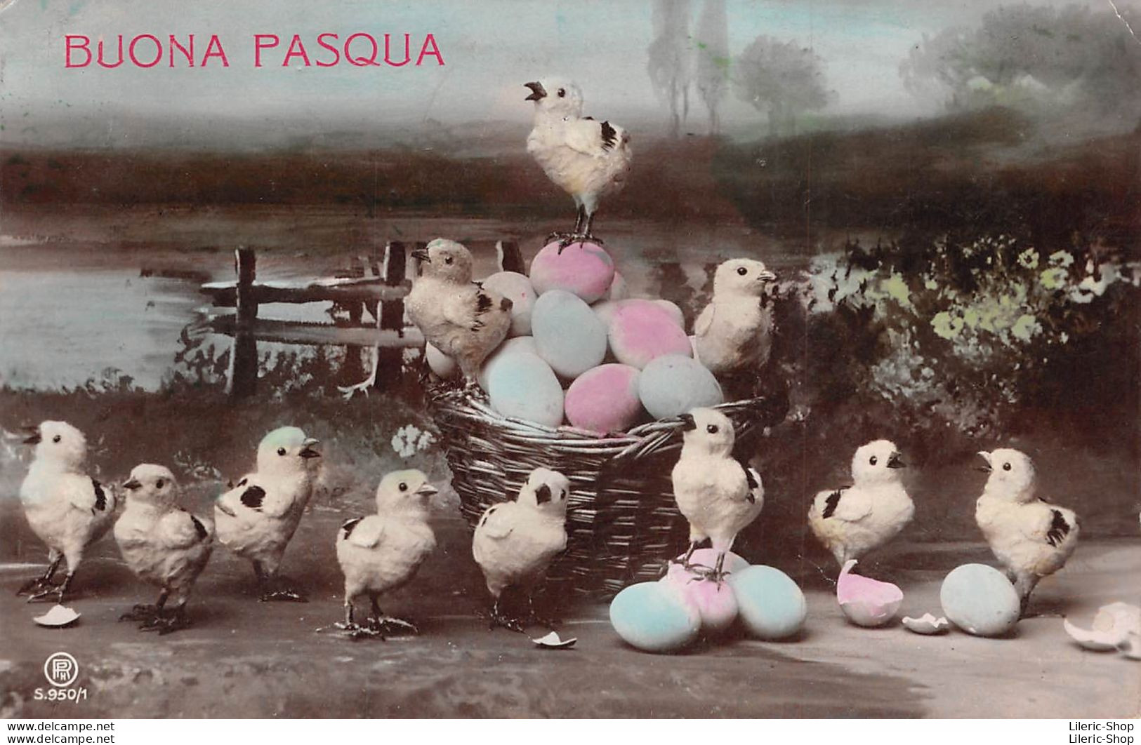 BUONA PASQUA - UOVA DI PULCINO OEUFS POUSSINS EGGS CHICKS KÜKEN EIER Cpa 1923 ( ͡◕ ͜ʖ ͡◕) ♦ - Pâques