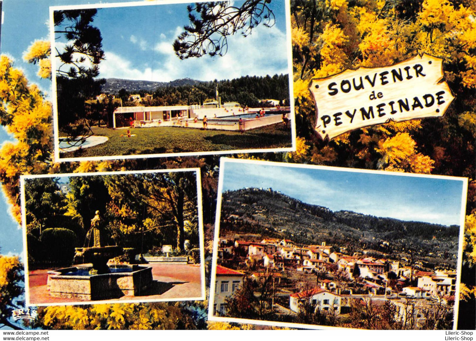 [06] PEYMEINADE - Lot De 2 Cpm GF - Souvenir De Peymeinade Et La Mairie   ( ͡♥ ͜ʖ ͡♥) ♥ - Autres & Non Classés