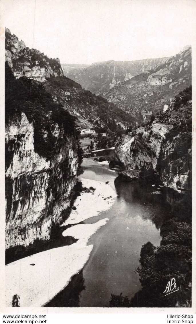 [48] GORGES DU TARN  Sortie Des Détroits - Vue Sur La Route Des Vignes Cpsm PF ( ͡♥ ͜ʖ ͡♥) ♥ - Gorges Du Tarn