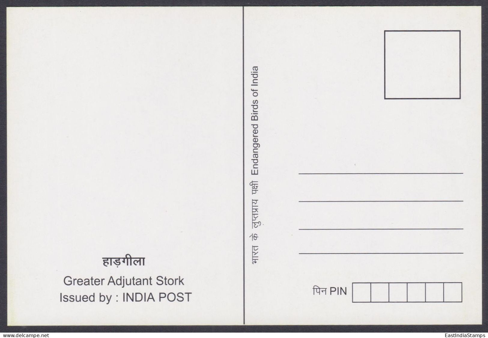 Inde India 2006 Mint Postcard Endangered Birds Of India, Greater Adjutant Stork, Storks, Bird, Drawing, Painting - India