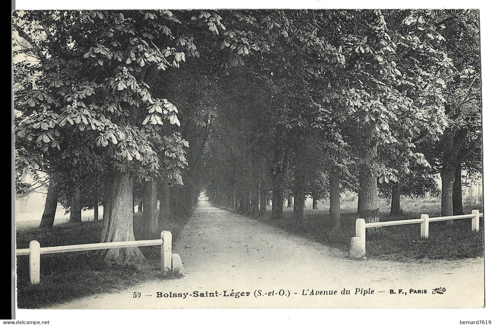 94  Boissy Saint Leger- L'avenue Du Piple - Boissy Saint Leger