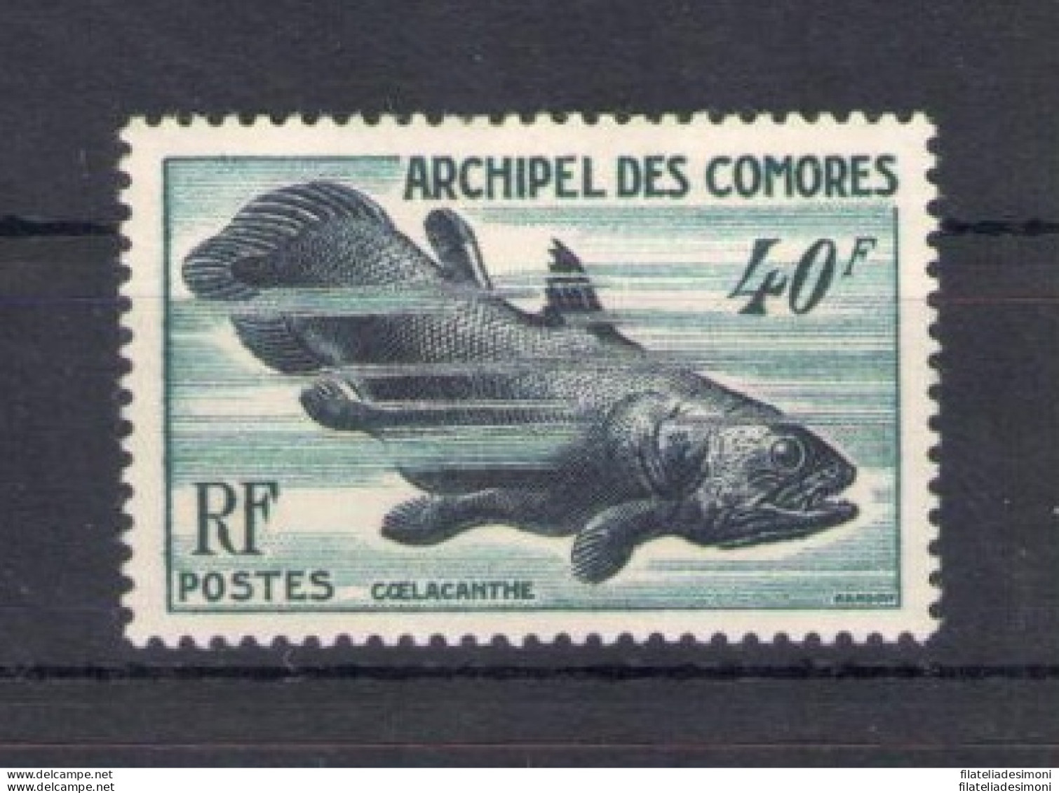 1954 Comores - Pesci - Yvert N. 13 MNH** - Autres & Non Classés