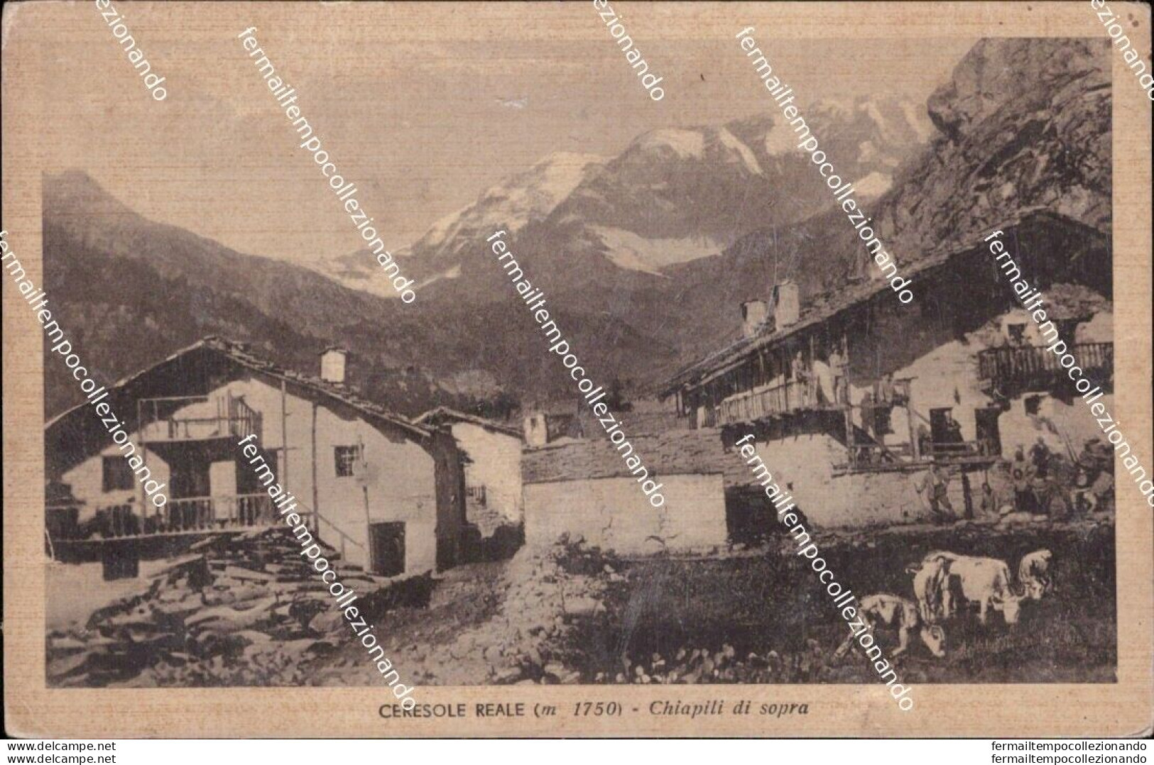 Cm487 Cartolina Ceresole Reale Chiapiti Di Sopra Provinciadi Torino Guarda Retro - Other & Unclassified