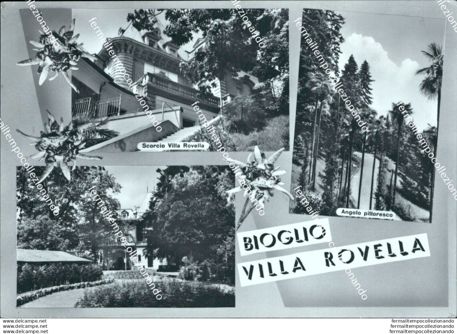 Bc486 Cartolina Bioglio Villa Rovella Provincia Di Vercelli - Vercelli