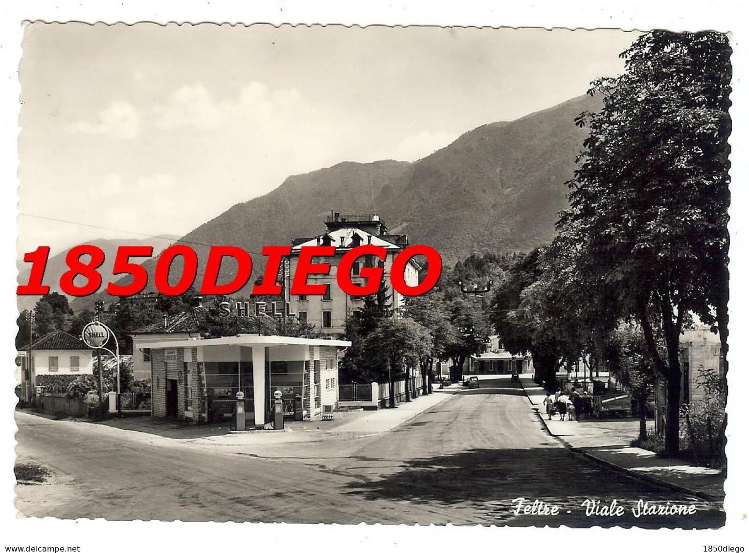 FELTRE - VIALE STAZIONE F/GRANDE  VIAGGIATA 1955 ANIMATA - Belluno