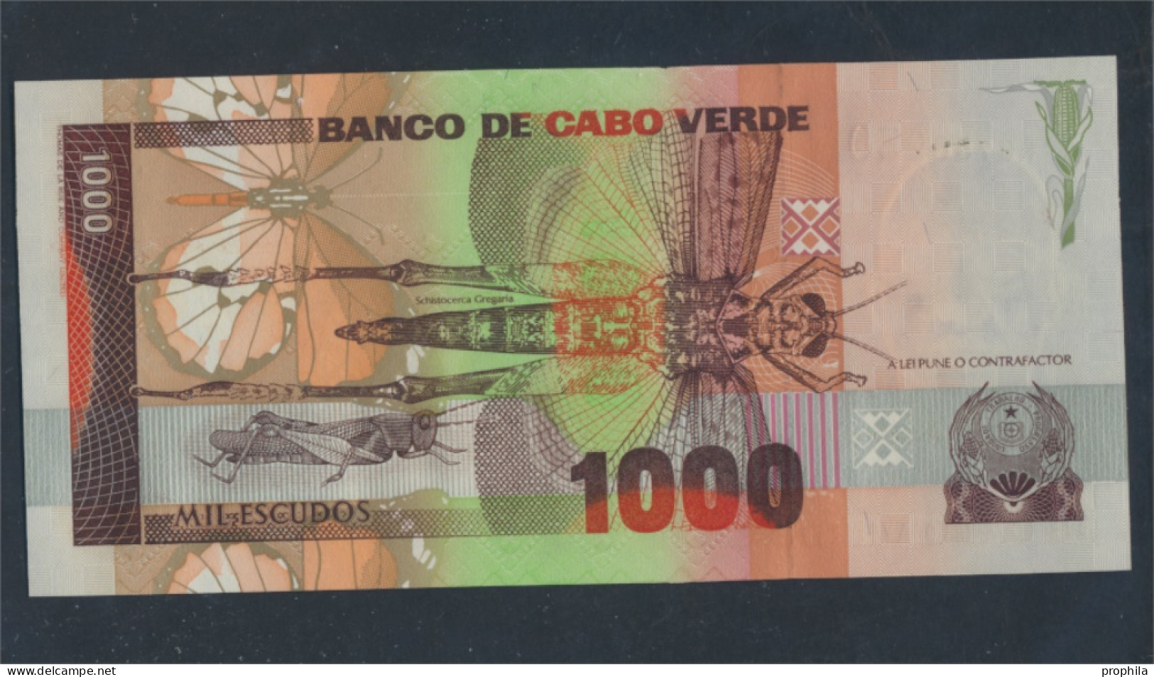 Kap Verde Pick-Nr: 60a Bankfrisch 1989 1.000 Escudos (9811078 - Cape Verde