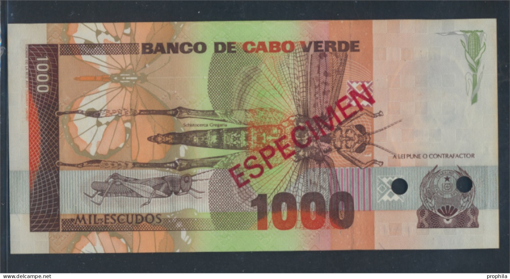 Kap Verde Pick-Nr: 60s Bankfrisch 1989 1.000 Escudos (9811068 - Cape Verde