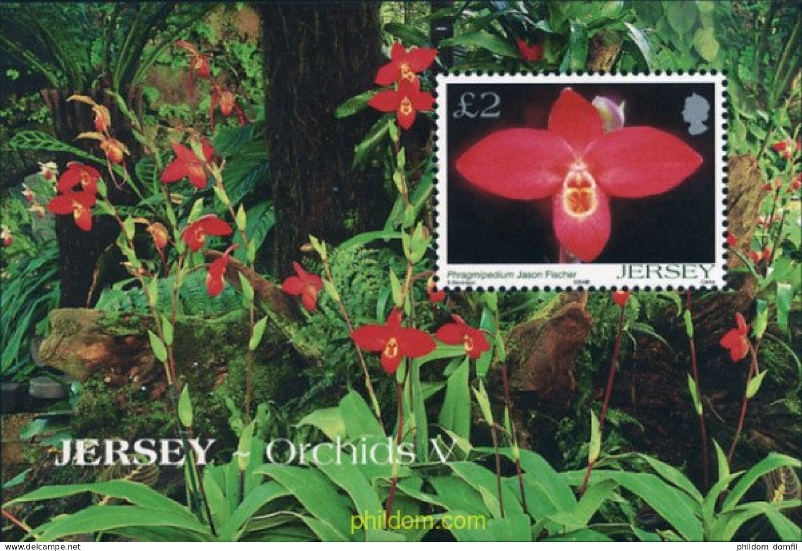 157855 MNH JERSEY 2004 ORQUIDEAS - Jersey